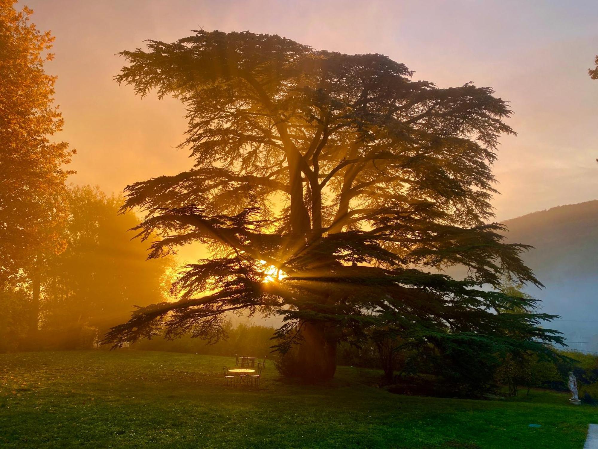 Chateau Des Janroux Juliénas Exteriér fotografie